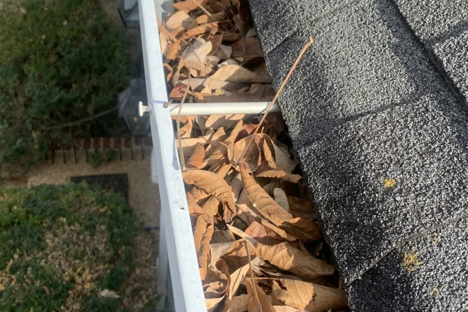 Gutter Cleaning Kinder