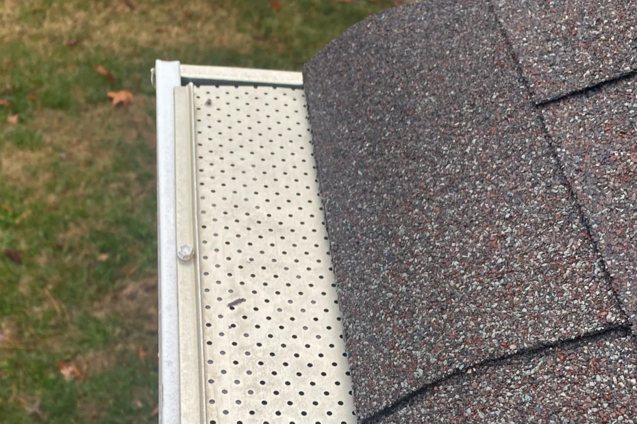 Gutter Cleaning Kinder