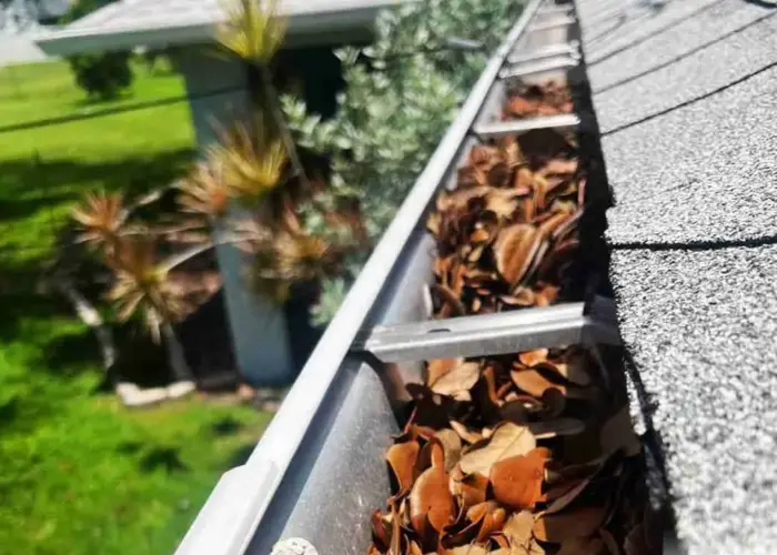 Gutter Cleaning Kinder home page